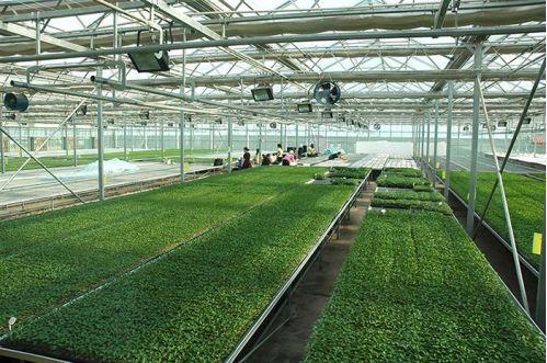 鄉村巧搭數字快車 智能農業管理助力鄉村振興